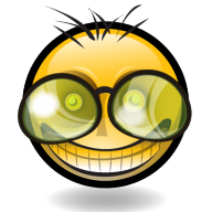 terminatorwalti4