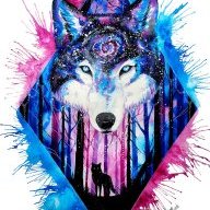 ()GalaxyWolf()