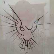 SteelScars